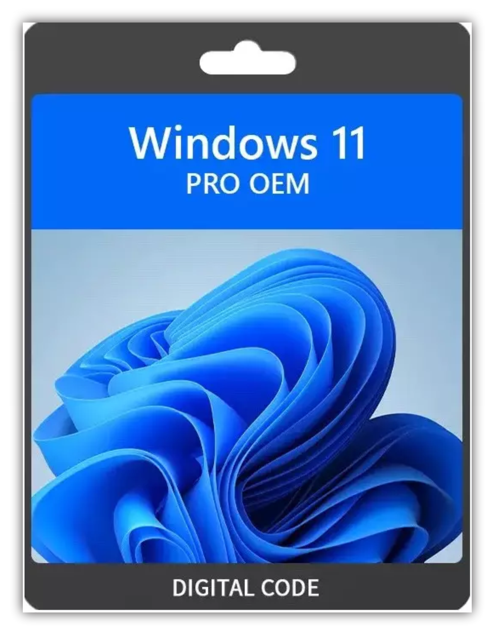 Windowa 11 Pro OEM